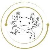 Axolote Expertos en Limpieza